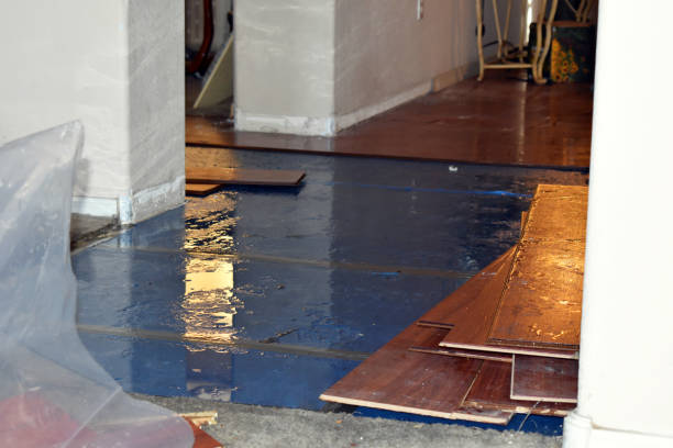 Professional Water Extraction technician working in Calliham, TX